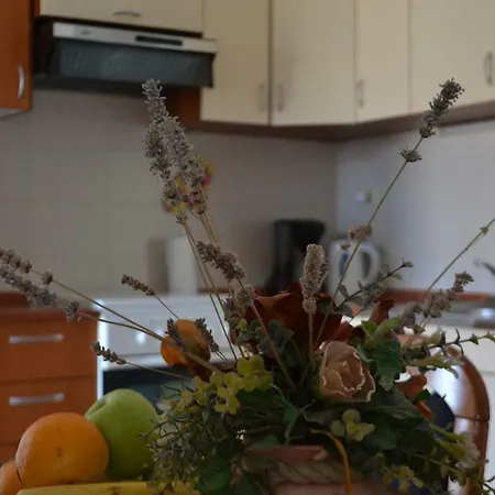 Apartman Renata
